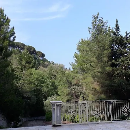 Parco Dei Gelsomini
