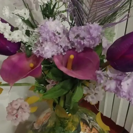 Parco Dei Gelsomini Bed & Breakfast Ascoli Piceno