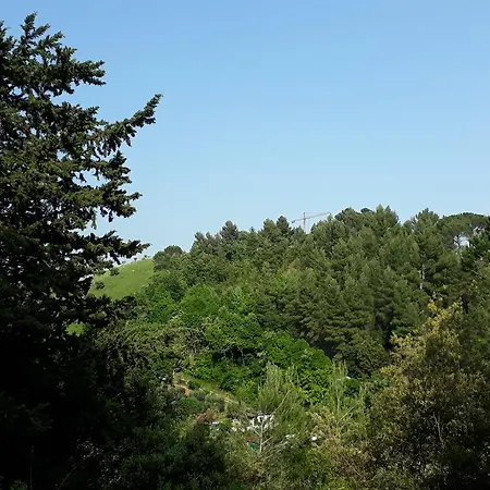 Parco Dei Gelsomini Асколи-Пичено